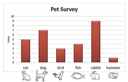 Pet Survey Bar Graph of Results