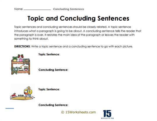 Concluding Sentences #11