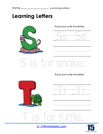 Snakes and Turtles Worksheet