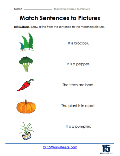 Matching Pictures Worksheet