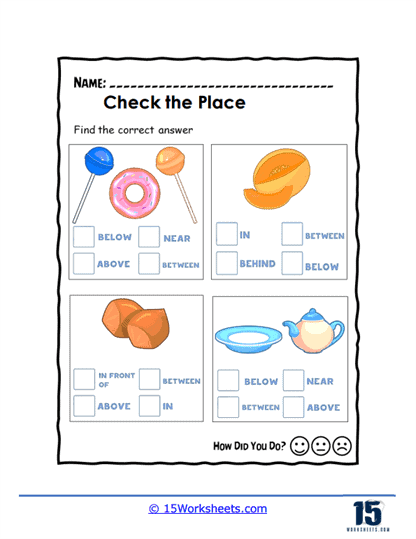 Check the Place Worksheet