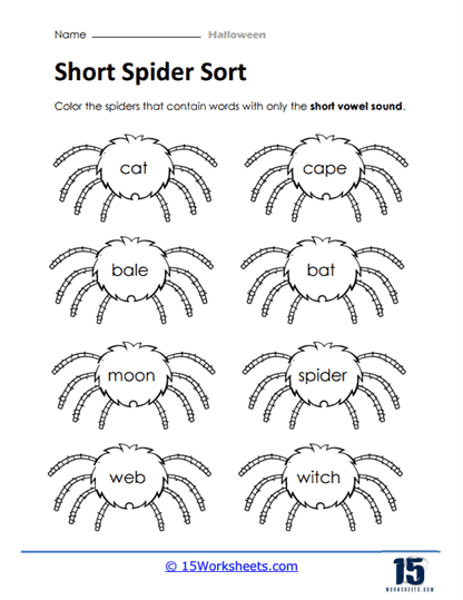 Short Spider Sort
