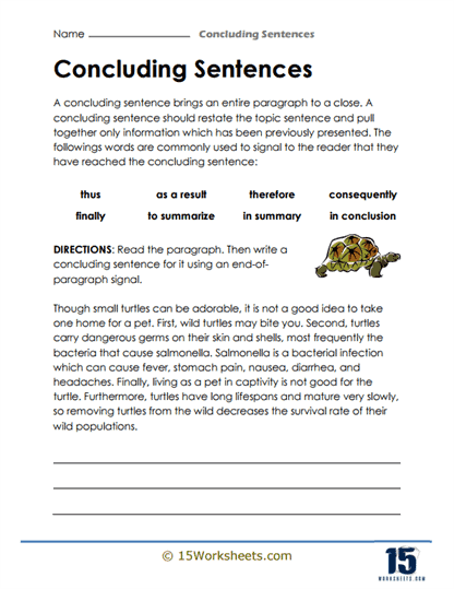 Concluding Sentences #5