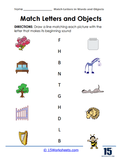 Line to Pictures Worksheet