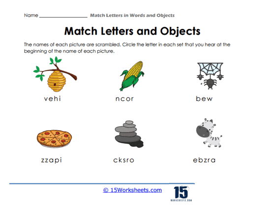 Unscramble the Letters Worksheet