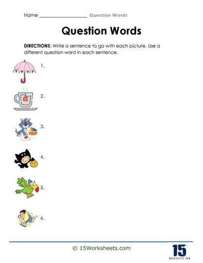 Question Words #13