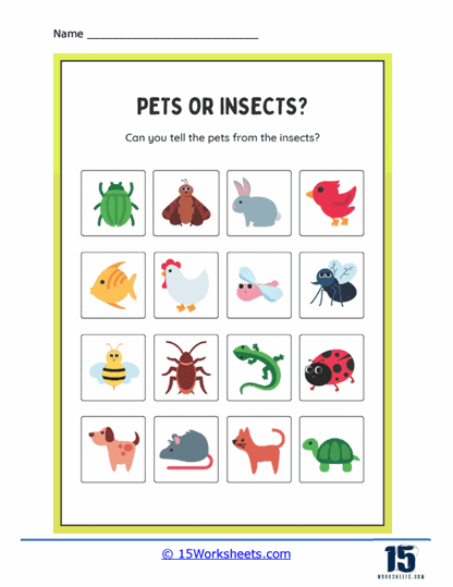 Pet or Insect Worksheet