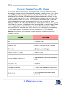 Bacteria and Viruses Worksheets - 15 Worksheets.com