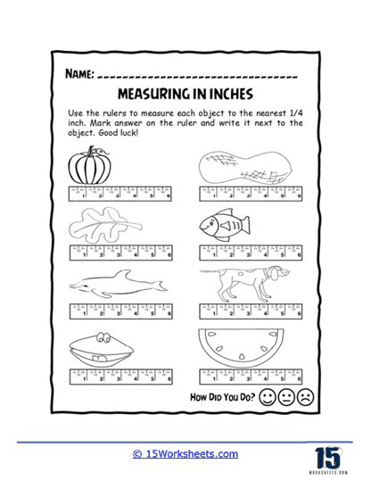 Measuring Inches Worksheet
