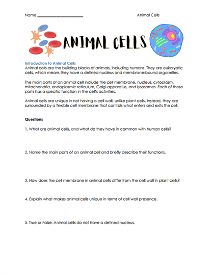 What Are Animal Cells?