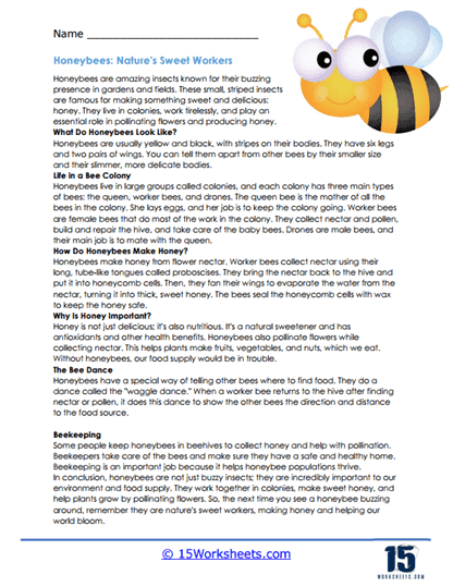 Honeybees: Nature's Sweet Workers