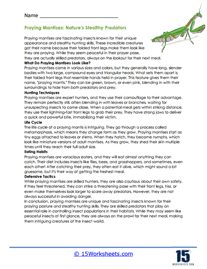 Praying Mantises: Nature's Stealthy Predators