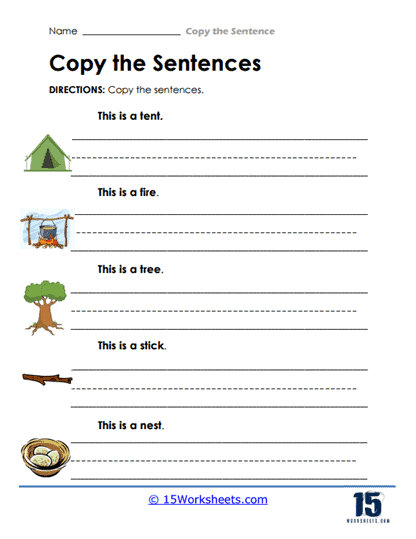 Copy the Sentence Worksheet
