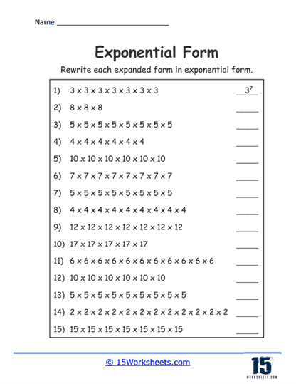 The Exponent Experience Worksheet