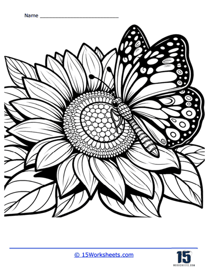 Blossom Coloring Page