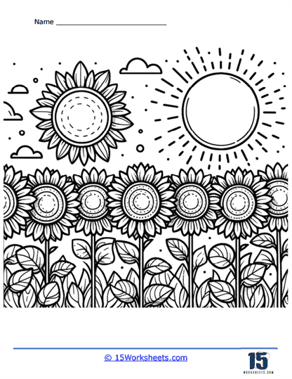 Sunflower Field Coloring Page
