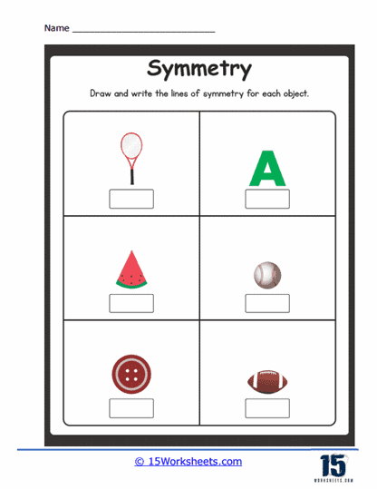 Everyday Symmetry Worksheet