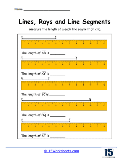 Measure Masters Worksheet