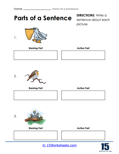 Picture Sentences Worksheet