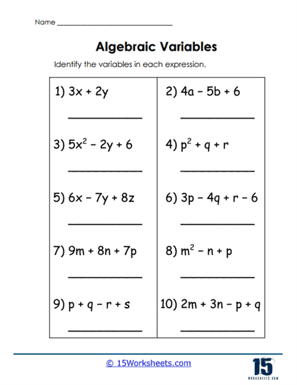 Variable Spotlight Worksheet