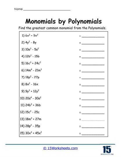 Common Monomial Hunt Worksheet