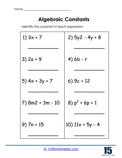 Constant Detectives Worksheet