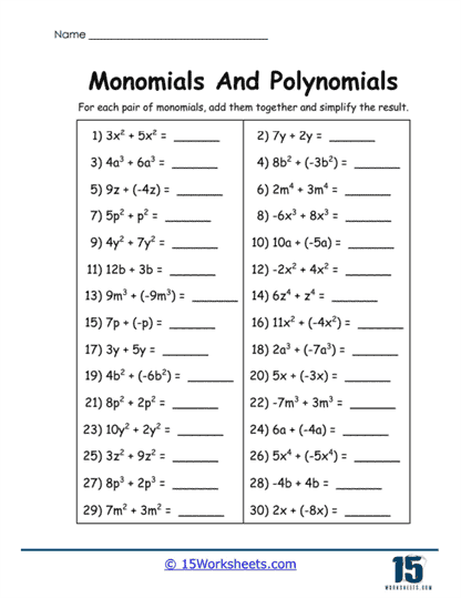 Monomial Mixer Worksheet