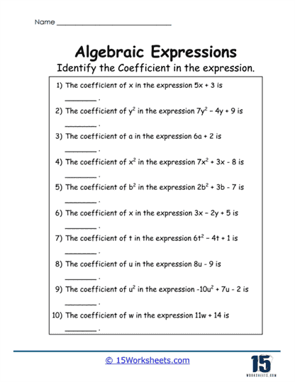 Coefficient Hunt Worksheet