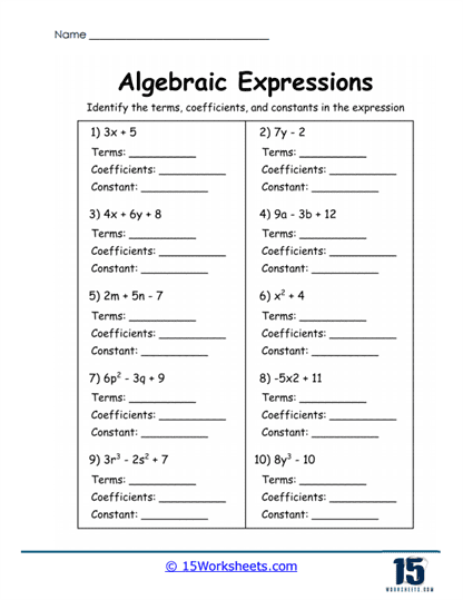 Terms & Coefficients Worksheet