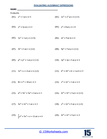 Variable Vibes Worksheet