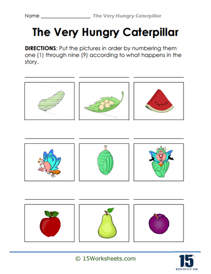 Picture Path Worksheet