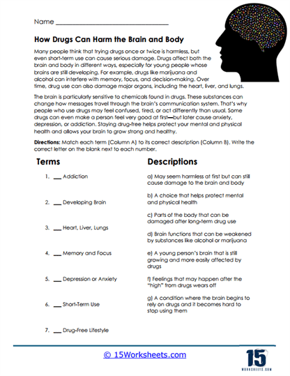 Brain Harm Worksheet