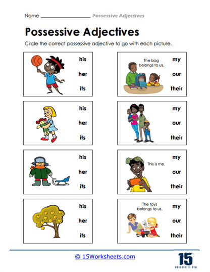 Possessive Adjective Worksheets