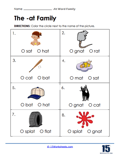 Picture Choices Worksheet