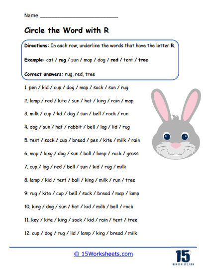 Rabbit R Worksheet