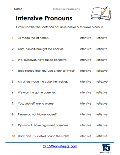 Pronoun Identifier Worksheet