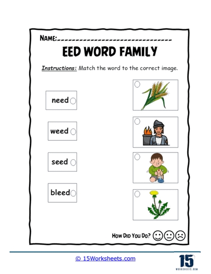 Match Master Worksheet