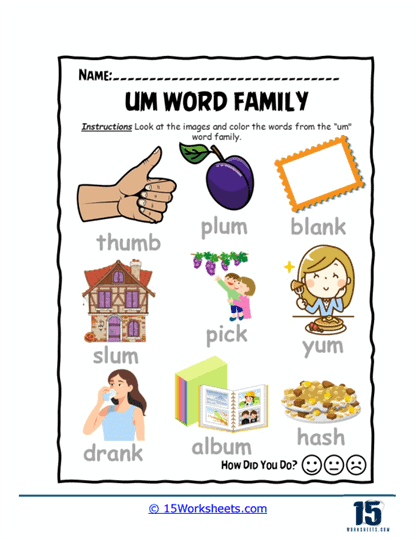 Word Sort Worksheet
