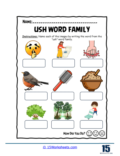Picture Word Identification Worksheet