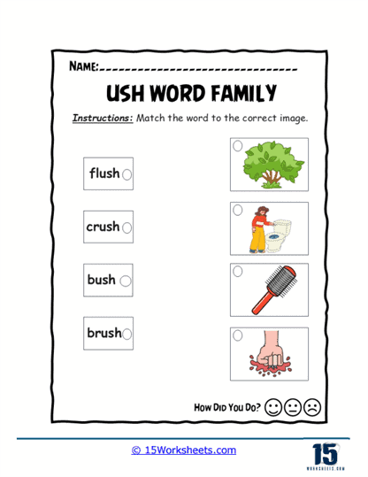 Picture Match Lines Worksheet