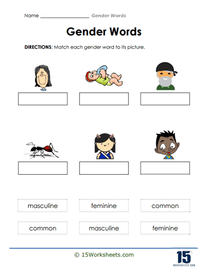 Gender Vocabulary Word Worksheet Collection