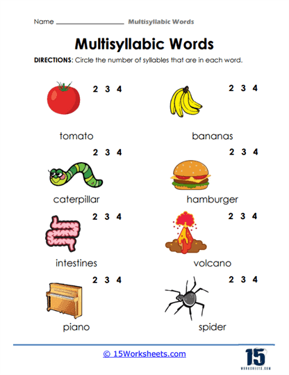 Syllable Circle Worksheet