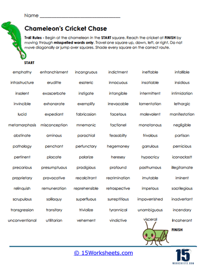 Cricket Chase Worksheet