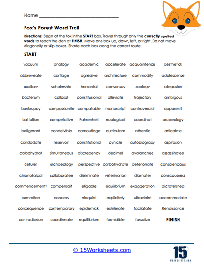 Forest Trail Worksheet