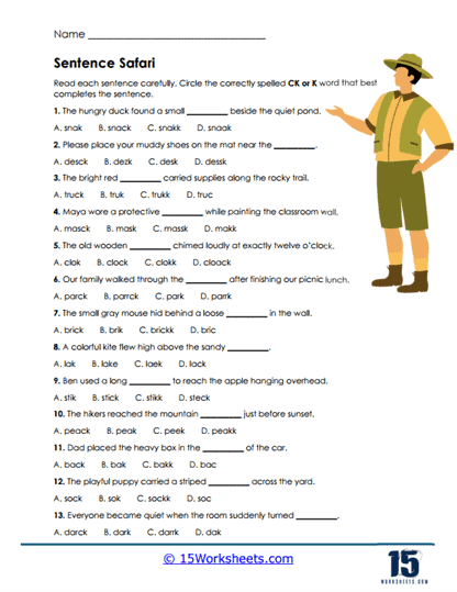 Safari Choices Worksheet